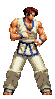 Kim Kaphwan in The King of Fighters 2002