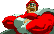 M. Bison