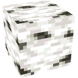 Birch Wood