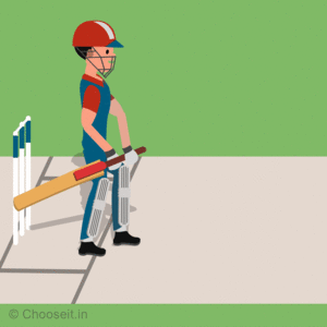 Best Cricket Bats Best Cricket Bats