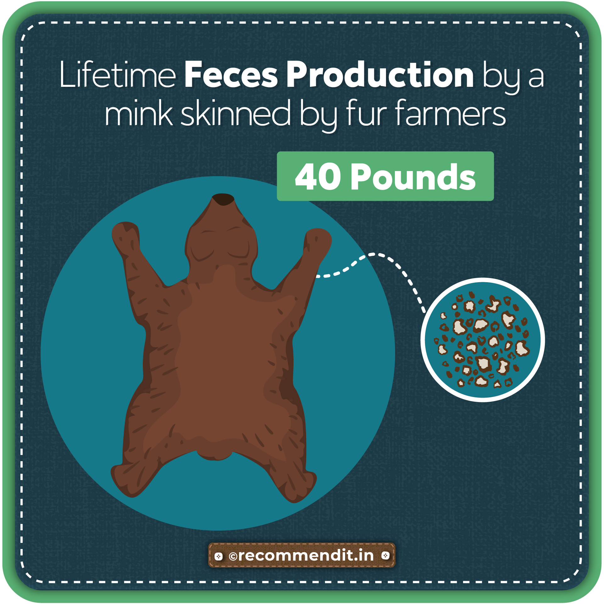 feces  produced by skinning each mink