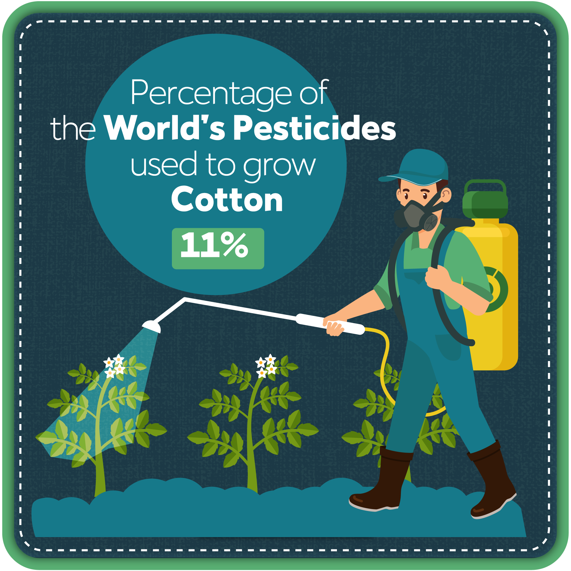 Pesticides used to grow cotton