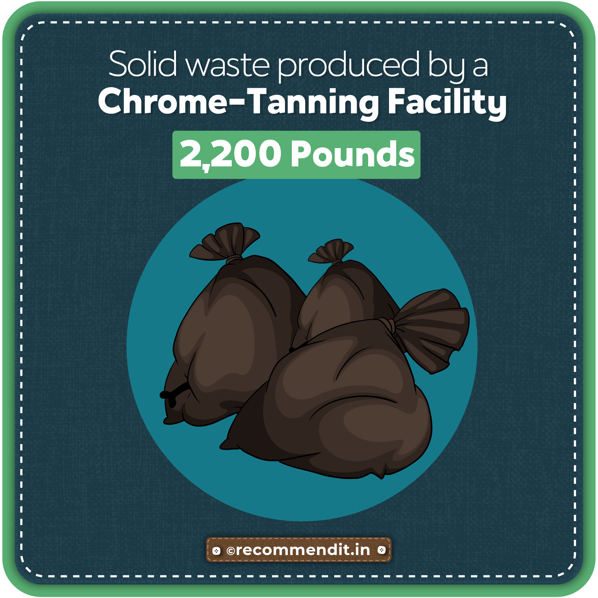 Solid waste produced by a Chrome-tanning facility