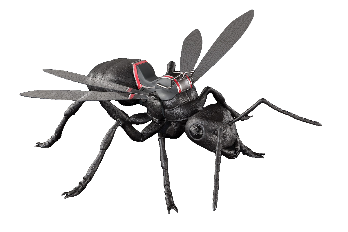 Ants (Antoman & Wasp)