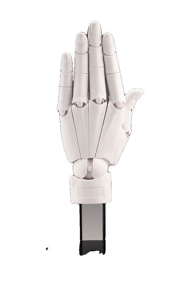 ARTIST SUPPORT ITEM HAND MODEL/L -WHITE-