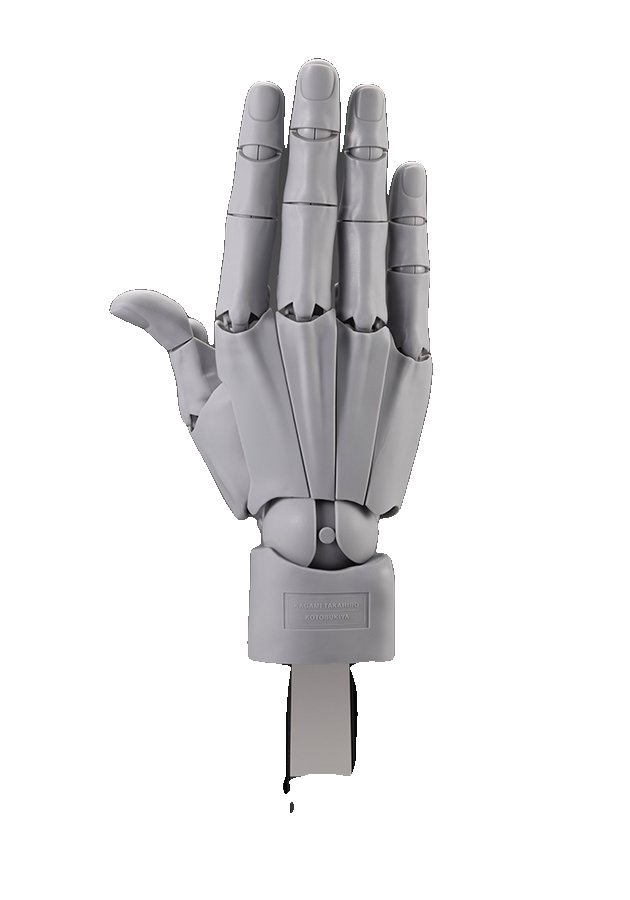 ARTIST SUPPORT ITEM HAND MODEL MEN'S/R -GRAY-