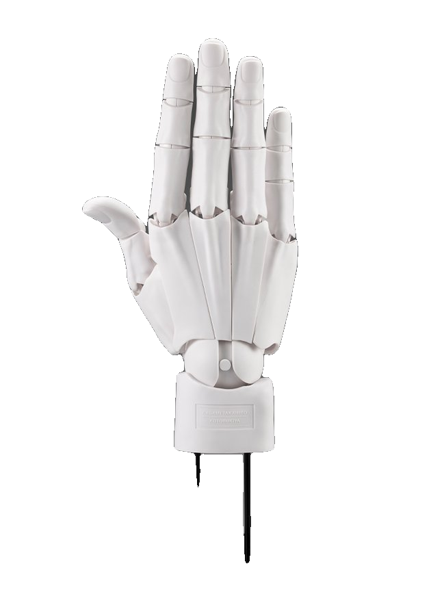 ARTIST SUPPORT ITEM HAND MODEL MEN'S/R -WHITE-