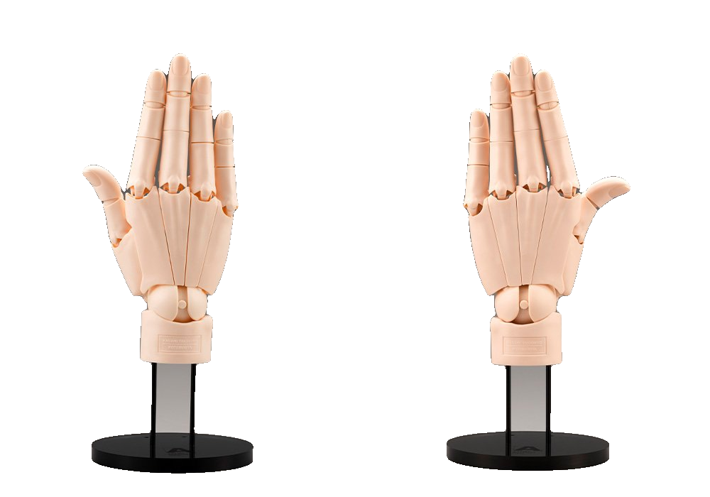 ARTIST SUPPORT ITEM HAND MODEL/R -PALE ORANGE-