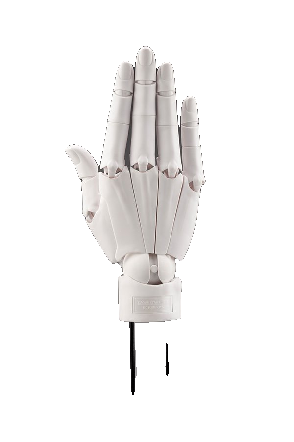 ARTIST SUPPORT ITEM HAND MODEL/R -WHITE-