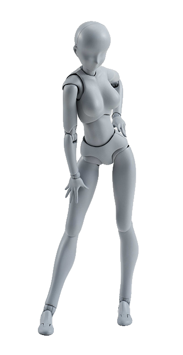 Body-chan DX SET (Gray Color Ver.)
