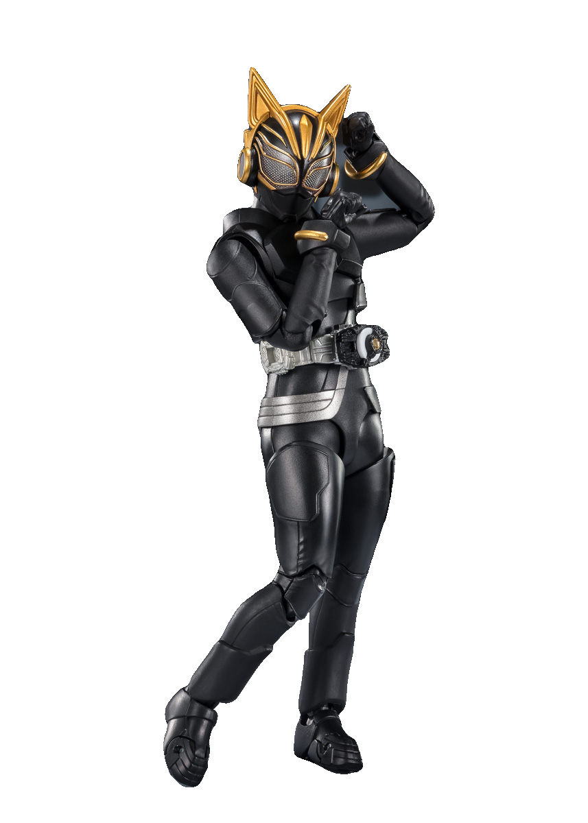 KAMEN RIDER NA-GO ENTRY RAISE FORM & ENTRY RAISE SET