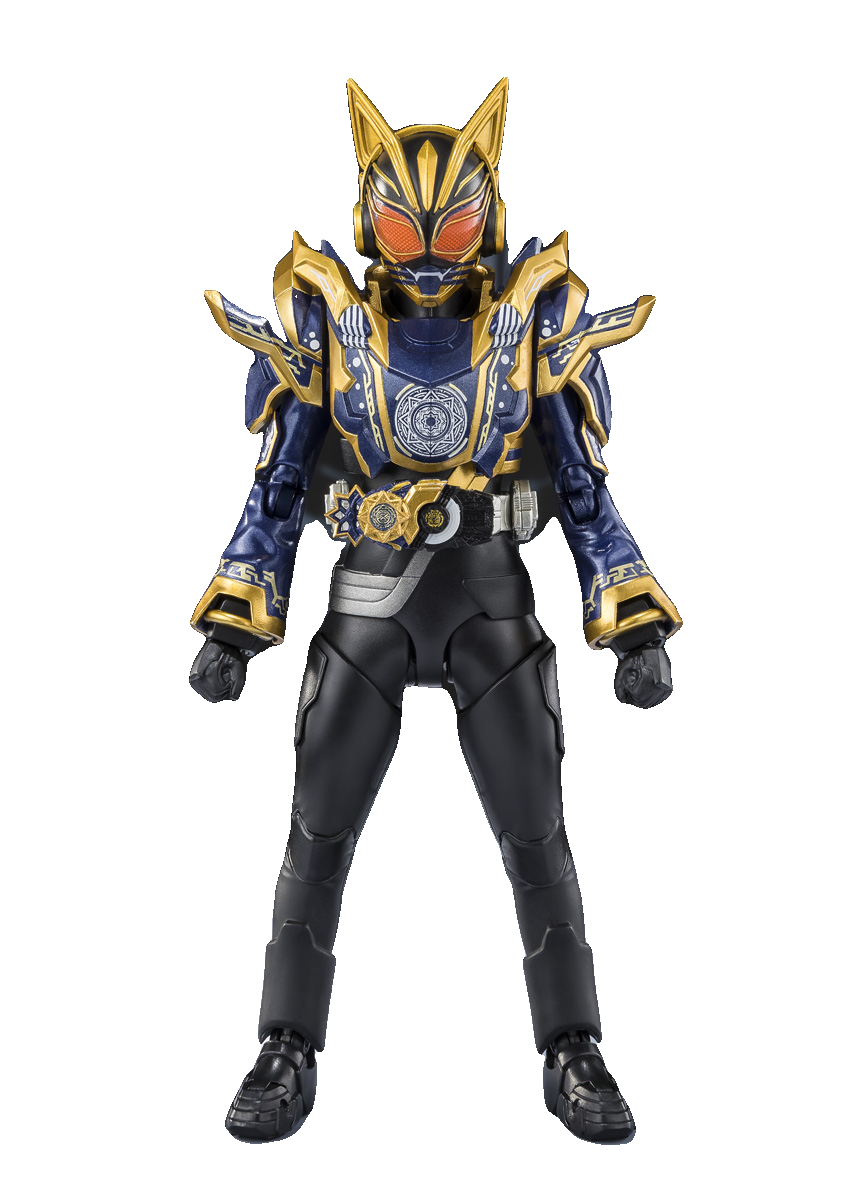 KAMEN RIDER NA-GO FANTASY FORM