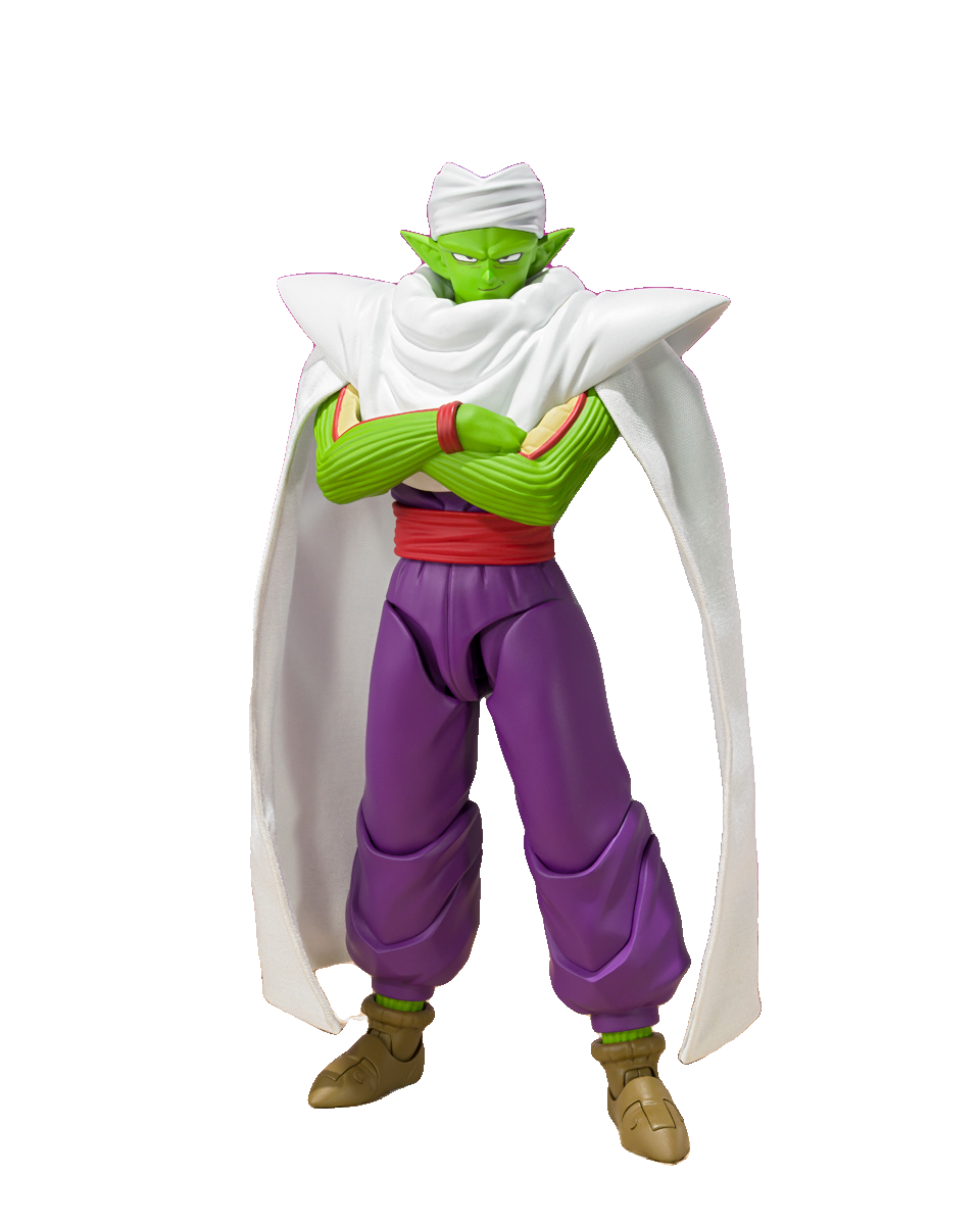 PICCOLO -DAIMA-
