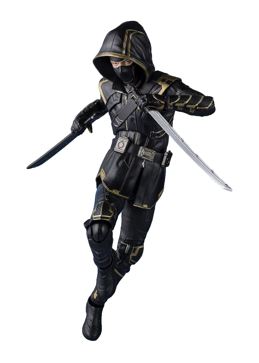 Ronin (Avengers: Endgame)