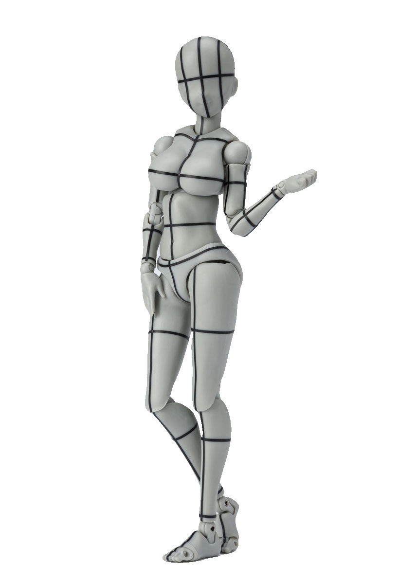 S.H.Figuarts BODY CHAN -KENTARO YABUKI- WIRE FRAME (Gray Color Ver.)