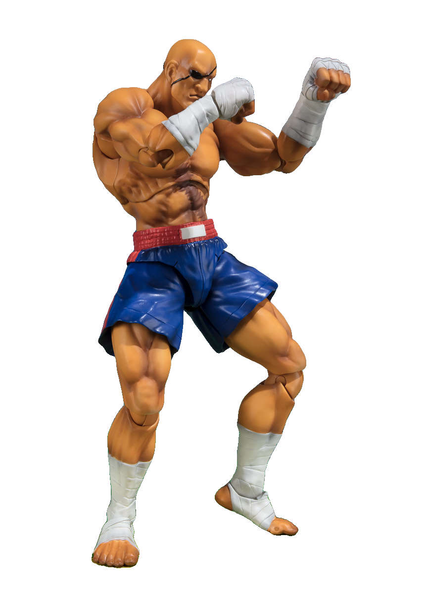 SAGAT