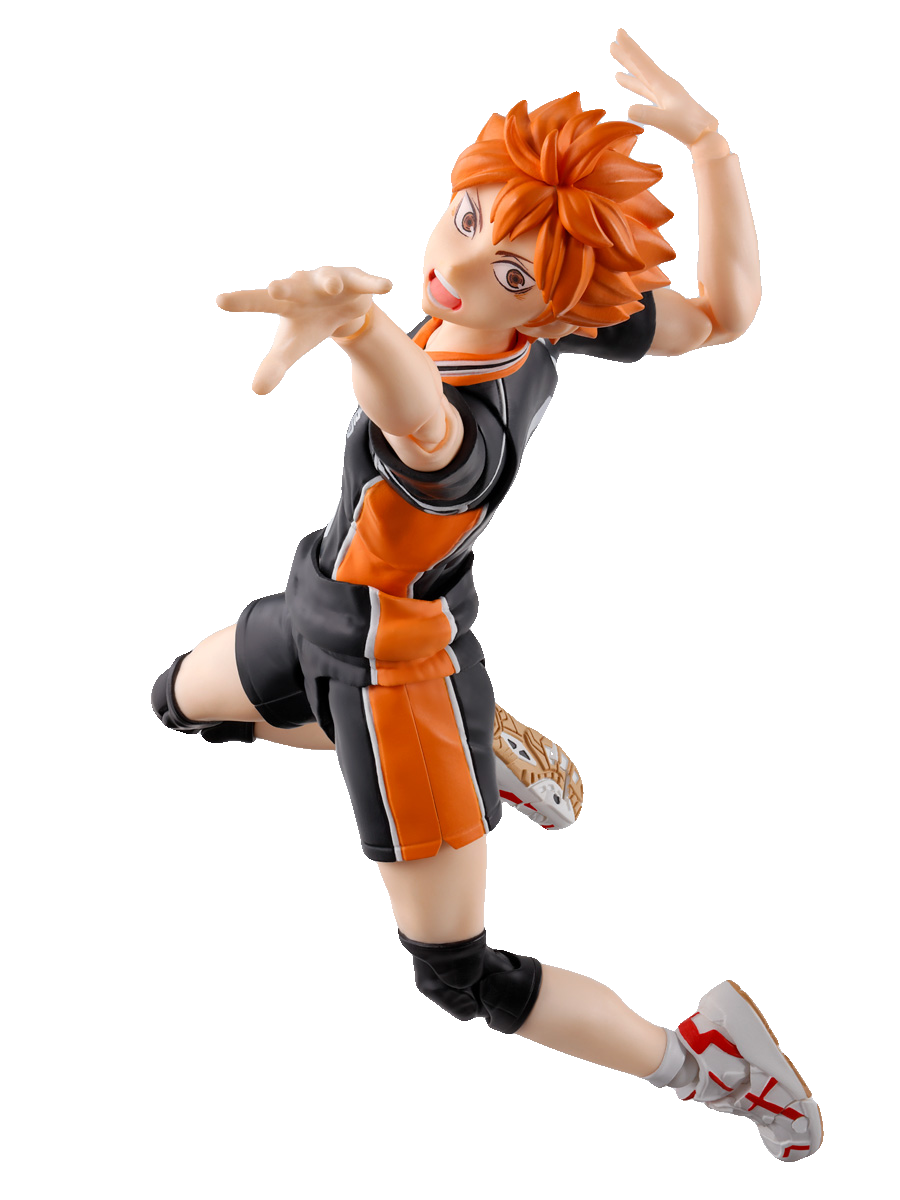 SHOYO HINATA