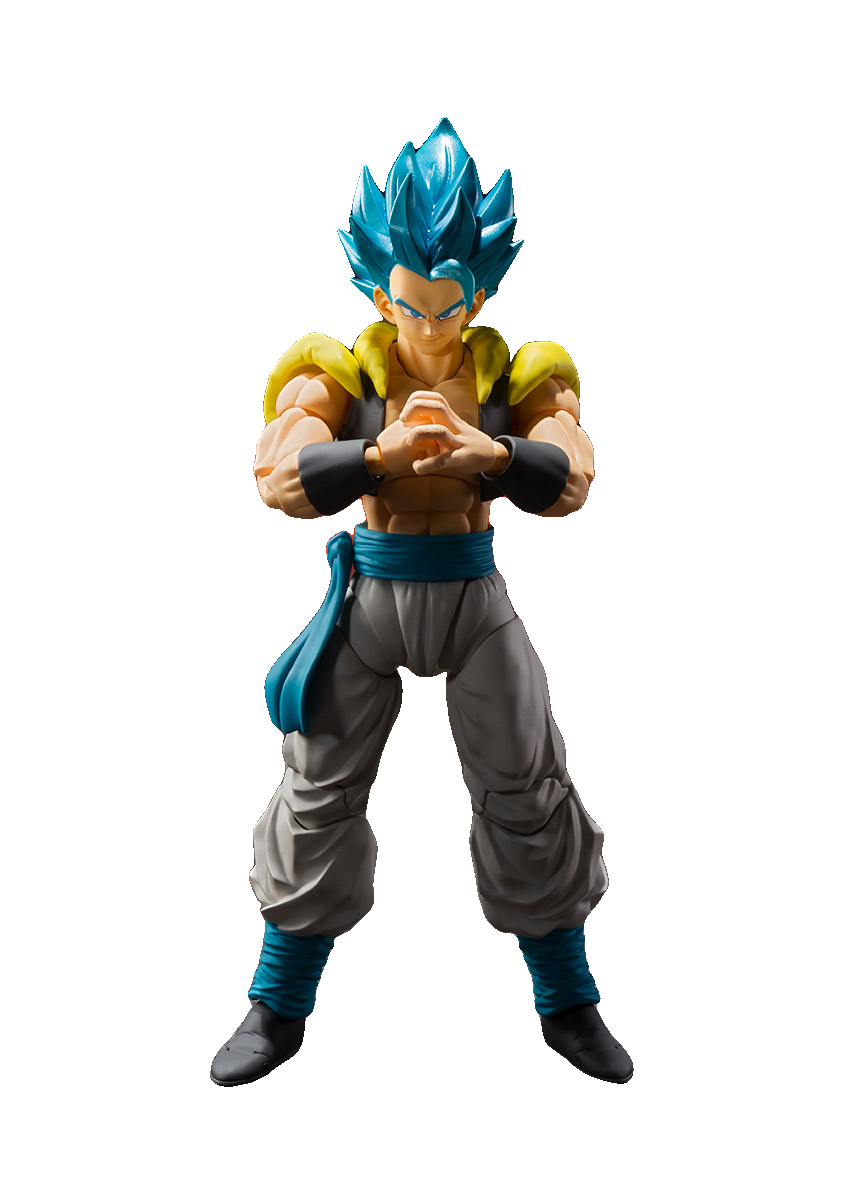 SUPER SAIYAN GOD SUPER SAIYAN GOGETA