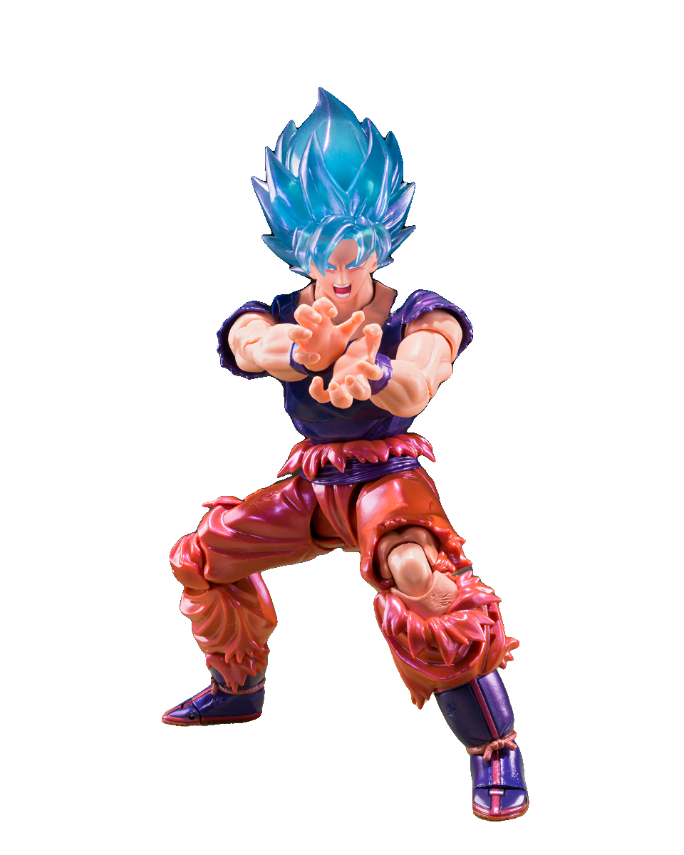 SUPER SAIYAN GOD SUPER SAIYAN SON GOKU KAIO-KEN