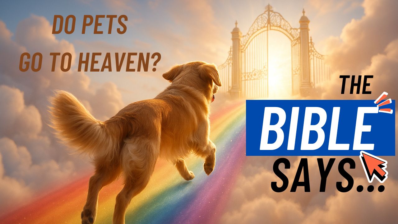 what does the bible say about pets in heaven