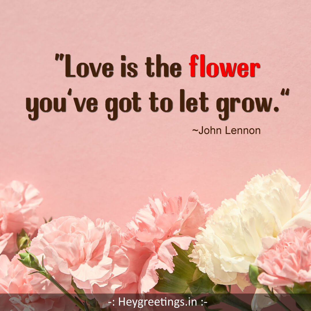 Flower Quotes - Hey Greetings