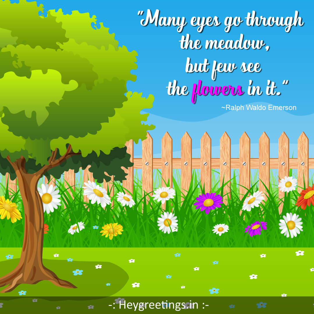 flower-quotes008