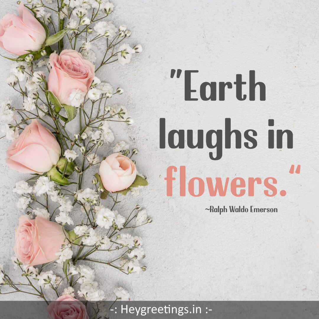 flower-quotes014