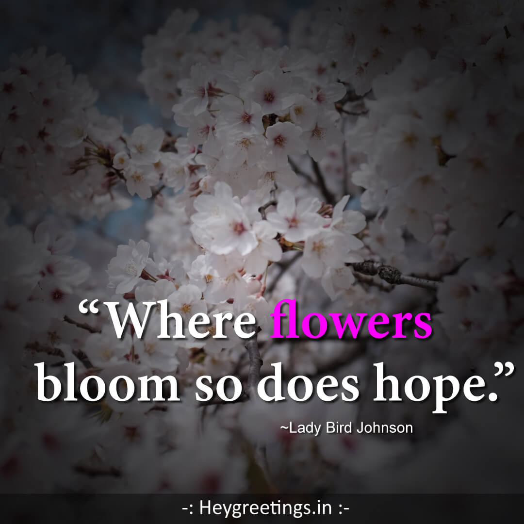 flower-quotes016