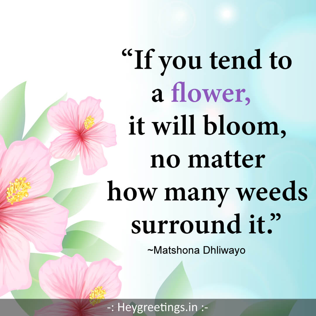 flower-quotes018