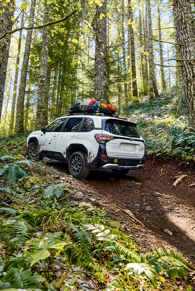 2026 Subaru Forester at Delaney Subaru in Indiana, PA | Rear profile of a white 2026 Subaru Forester driving up a muddy hill