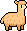 Alpaca, Summer coat