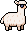 Alpaca wearing Alpaca Sunglasses
