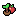 Apple Sapling