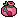 Beet Seed