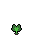 Broccoli, stage 3