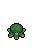 Broccoli, stage 4