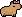 Capybara wearing Capybara Bow