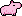 Capybara, Pink coat