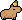 Capybara wearing Capybara Yuzu Hat