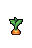 Carrot, stage 4