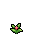Celosia, stage 3