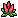 Celosia
