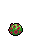 Chrysanthemum, stage 4