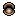 Clam