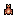 Copper Nugget Beetle