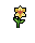 Daffodil, stage 4