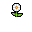 Daisy, stage 4