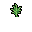 Dill, stage 4