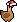 Duck wearing Duck Winter Hat