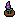 Faux Catmint
